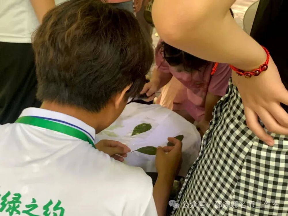 图片15.png