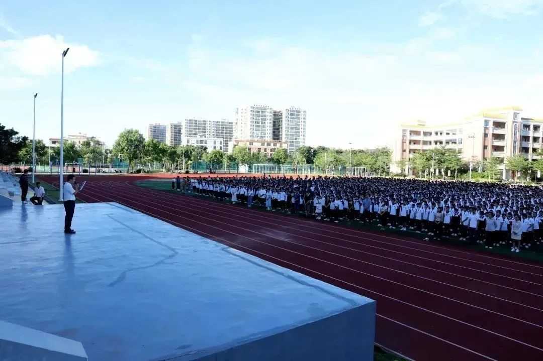 51.jpg 51.jpg