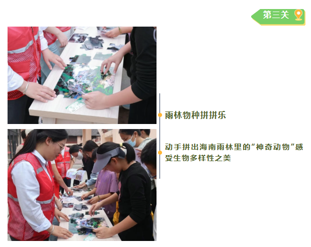ee9b41b2d8c81432a925fe2d6b6293f2.png