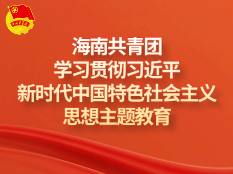 团省委学习贯彻习近平新时代中国特色社会主义思想主题教育