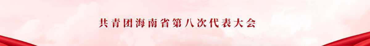 
第八次代表大会