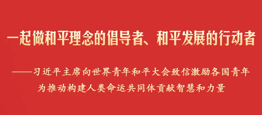 1.webp (1).png