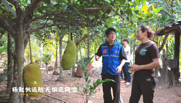 微信图片_20250808160941.png