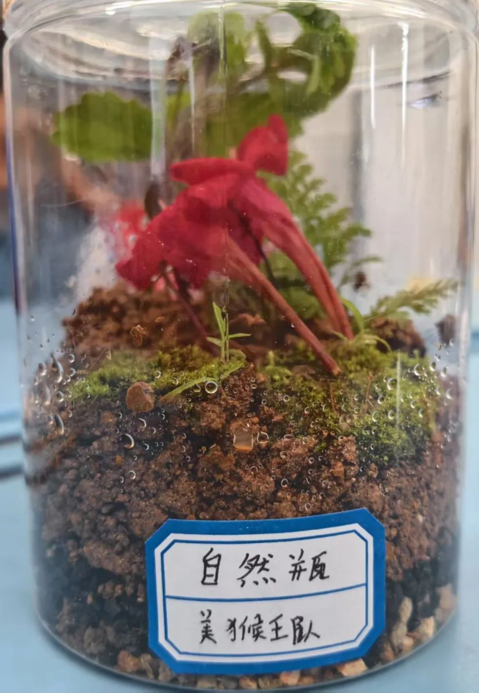 图片88.png