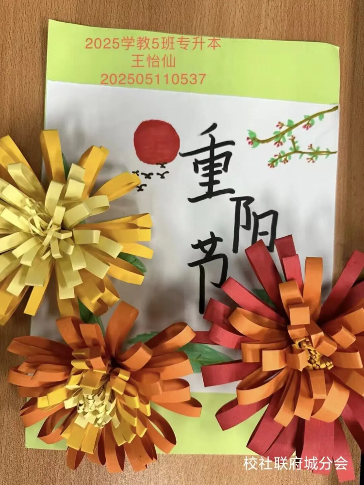 图片13.png