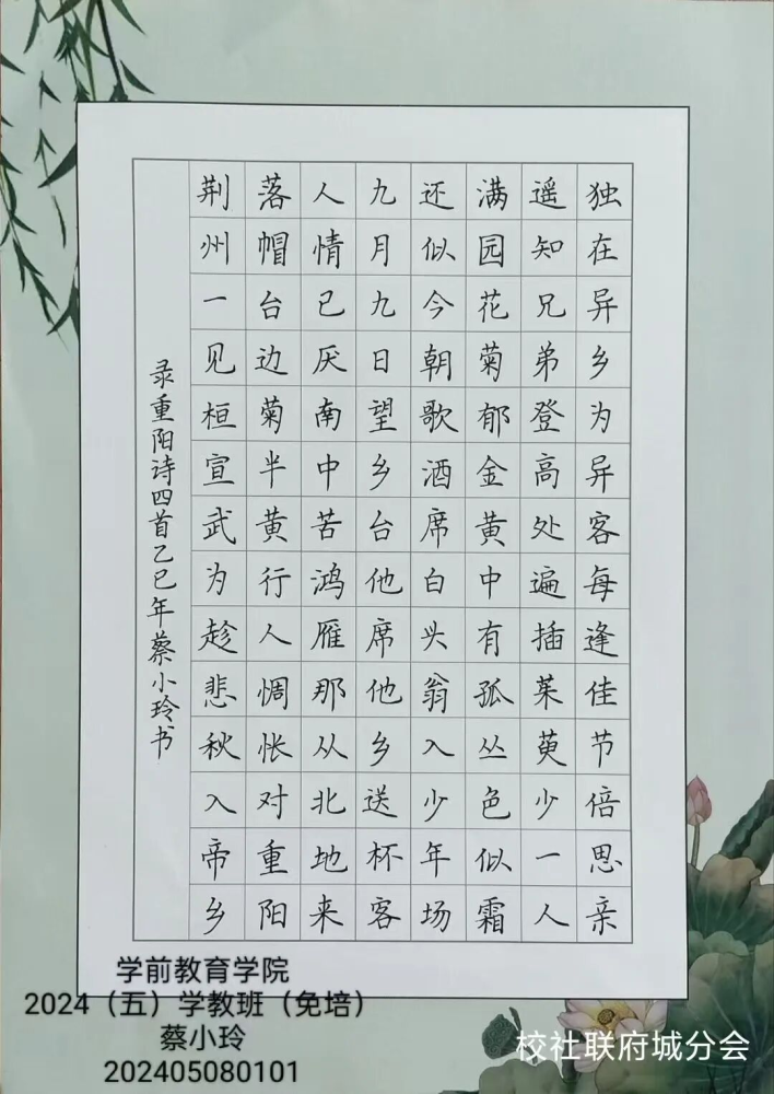 图片16.png