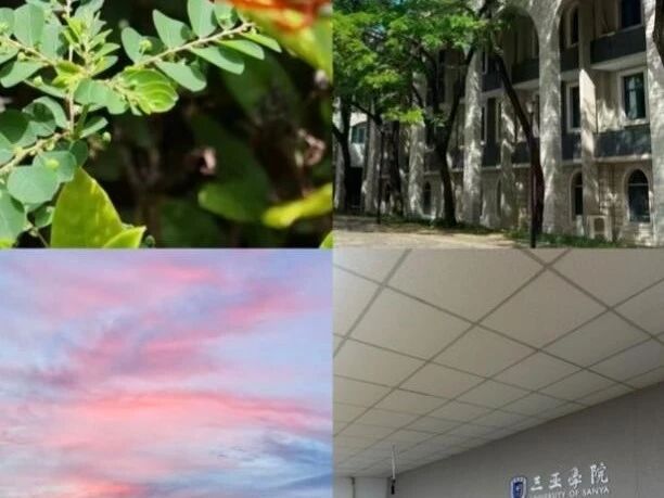 微信图片_20260120172317.jpg